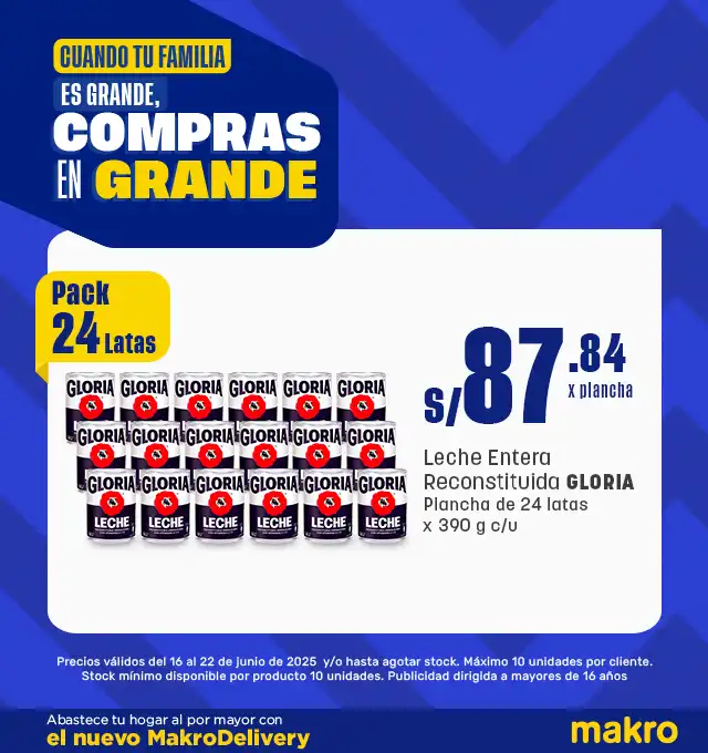 makro lacteos