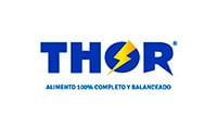 logo de THOR