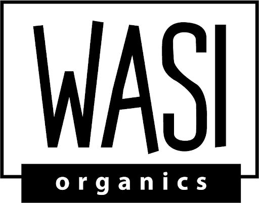 Granola WASI ORGANICS Pecanas Caja 300g | plazaVea - plazaVea