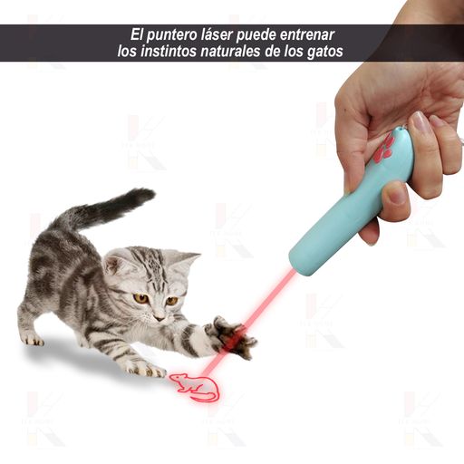 Puntero láser con luz Led en forma de ratón para tu gato