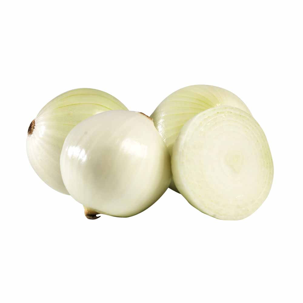 Cebolla Blanca x kg