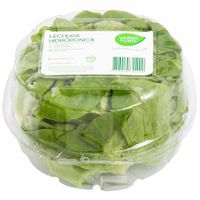 Lechuga Entera VERDE PURO x und.