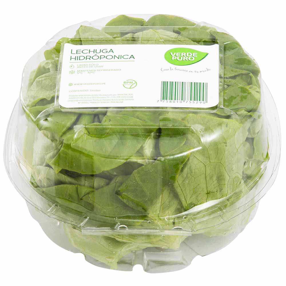 Lechuga Entera VERDE PURO x und.