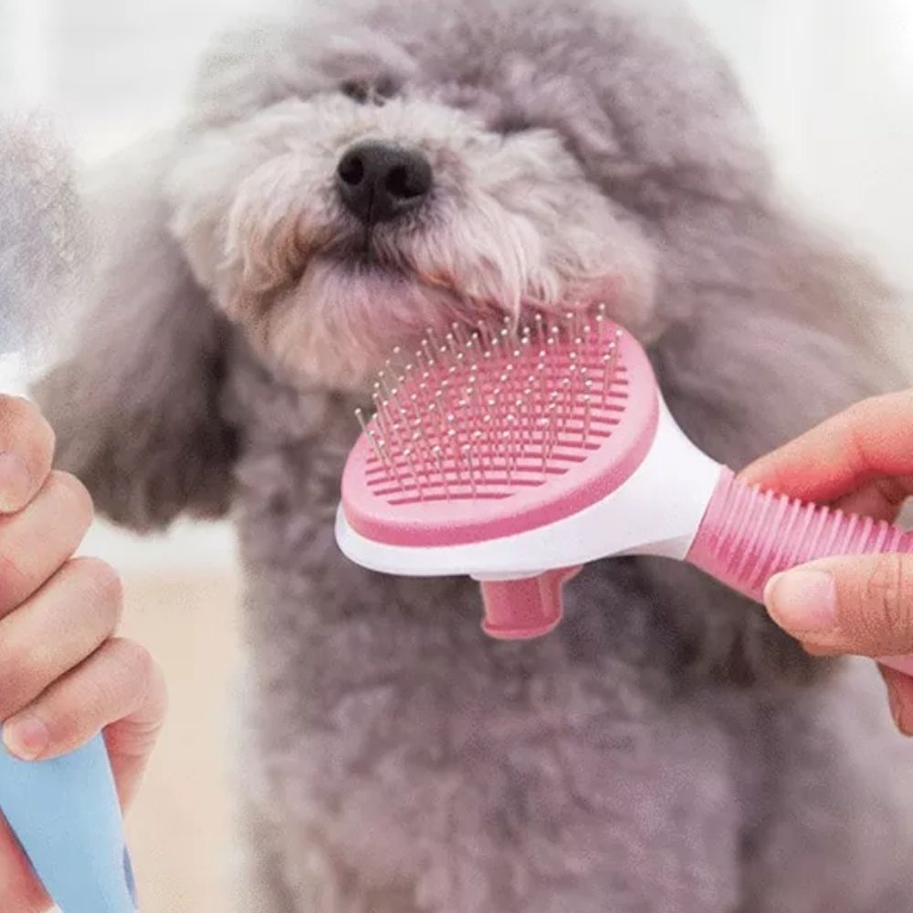 Cepillo de aseo profesional para mascotas mascotas cepillo pelo cepillo  quita pelos de mascota