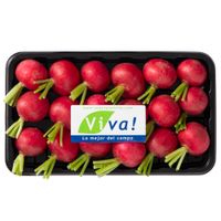 Rabanito VIVA Bandeja 12 und.