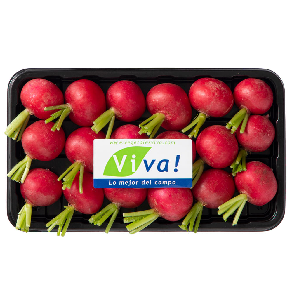 Rabanito VIVA Bandeja 12 und.