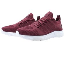 image-1483c88a17e340269f6285df409e8338