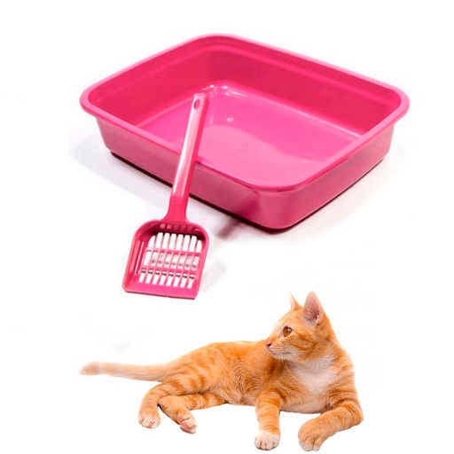 Cómo limpiar el arenero del gato en verano