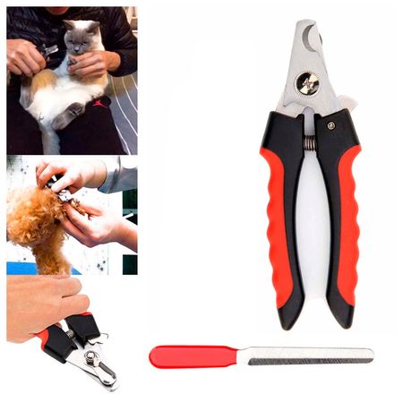 image-5e869dcd52e0447a887ae135799c232c