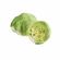 lechuga-americana-un