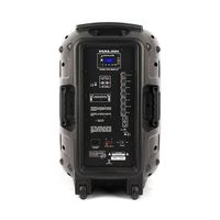 Parlante Activo Halion PHA-15MB ALT Batería Recargable 1000W USB/Bluetooth