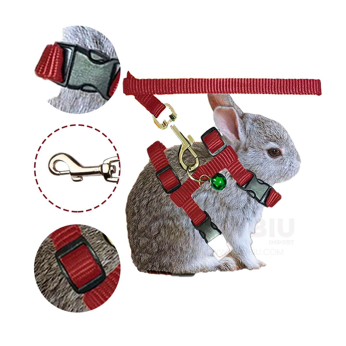 Correa Para Conejillo de India Rojo