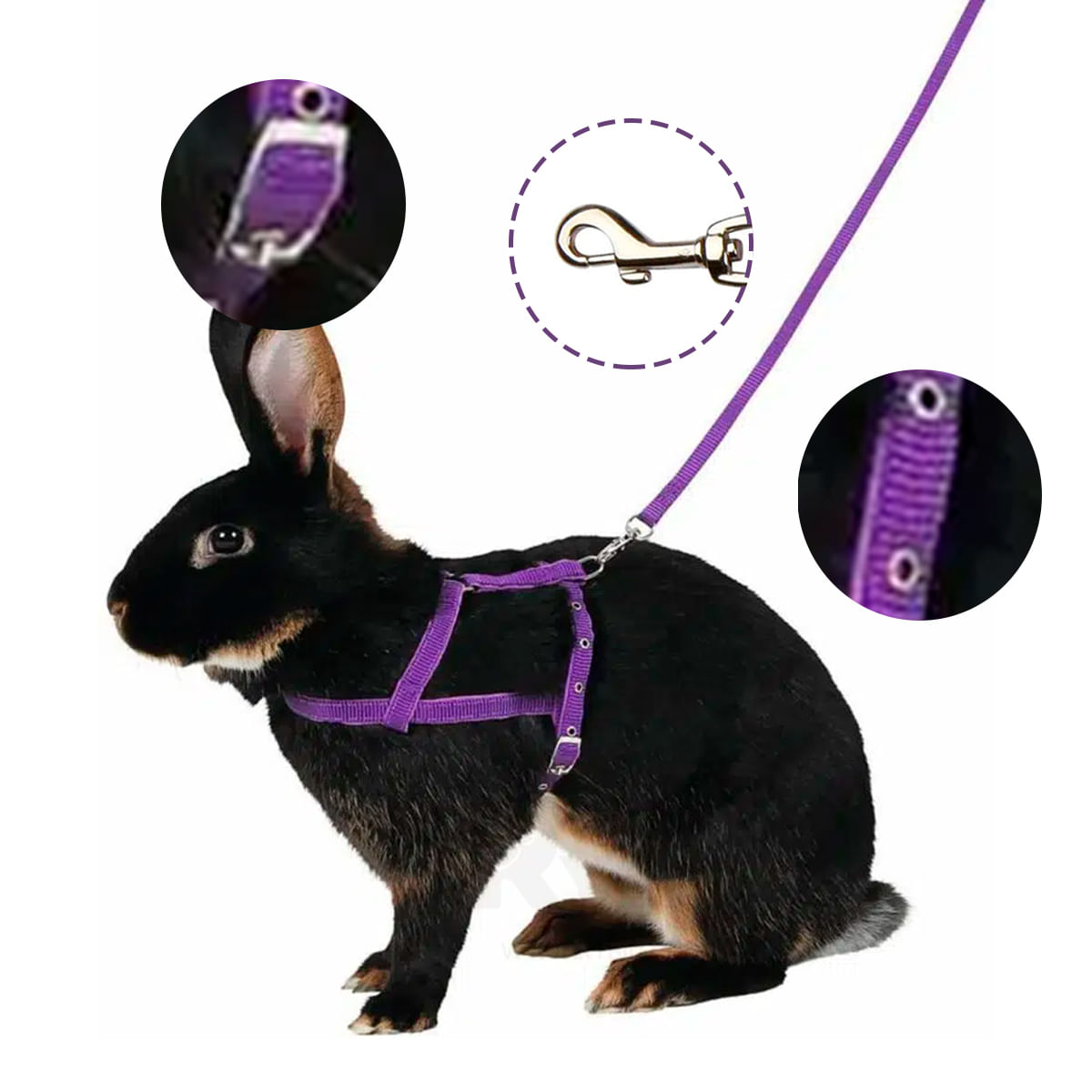 Arnes de Medida Ajustable Para Hámster Lila