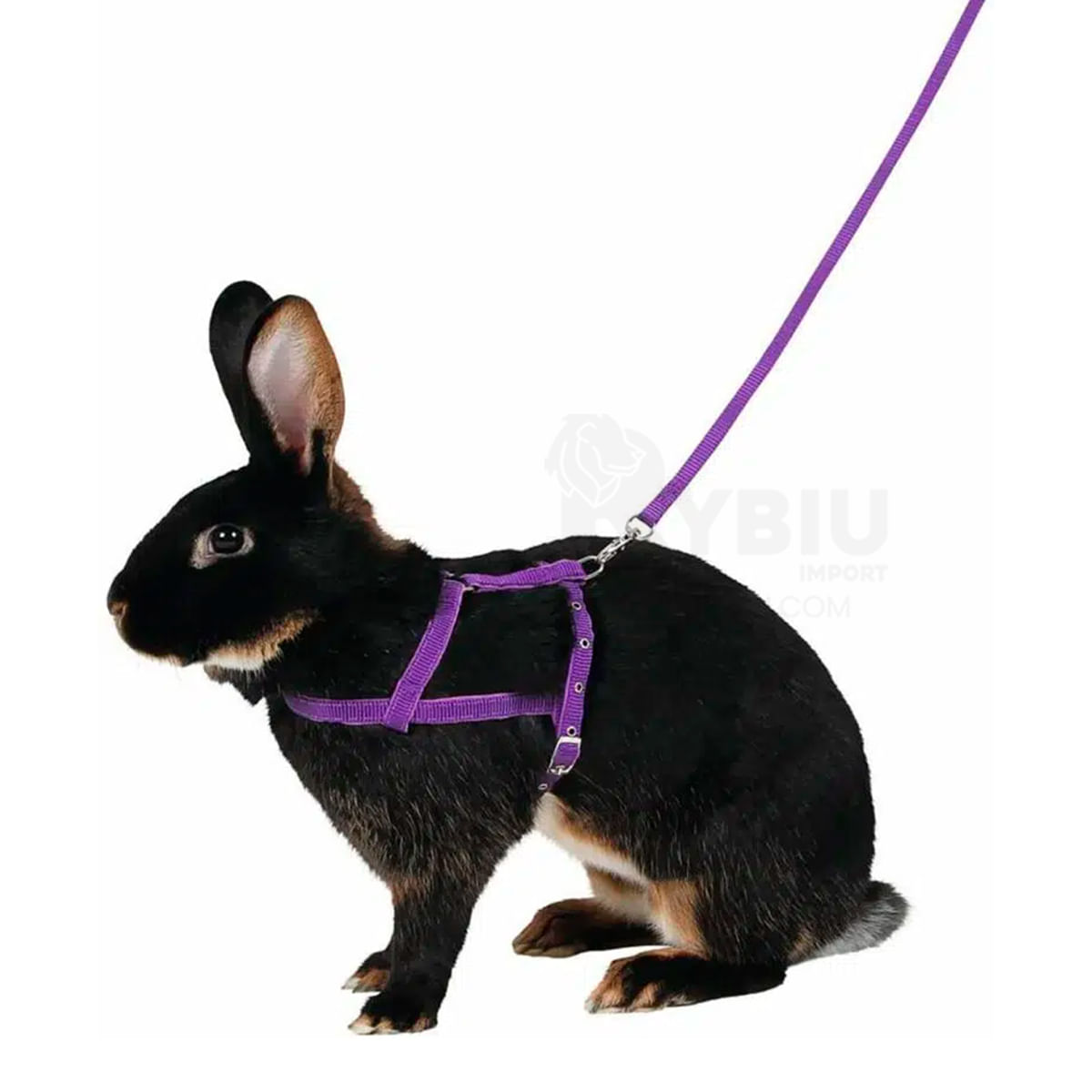 Arnes Para Conejos Lila