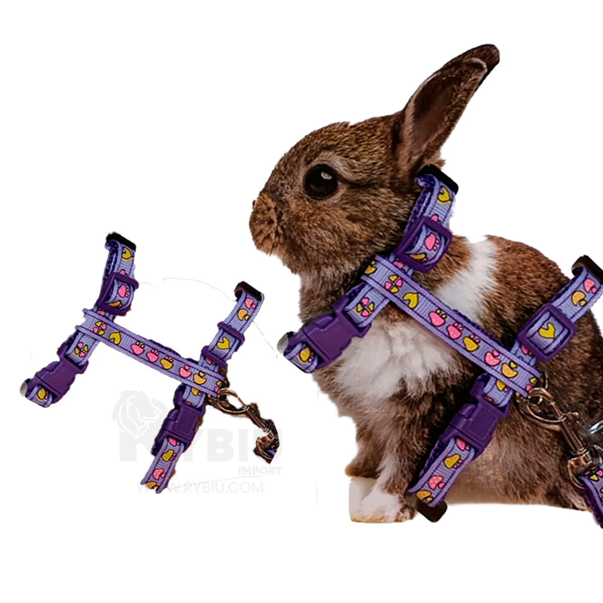 Correa Para Erizo Lila