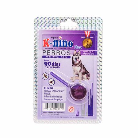 garrapata de perro en niño