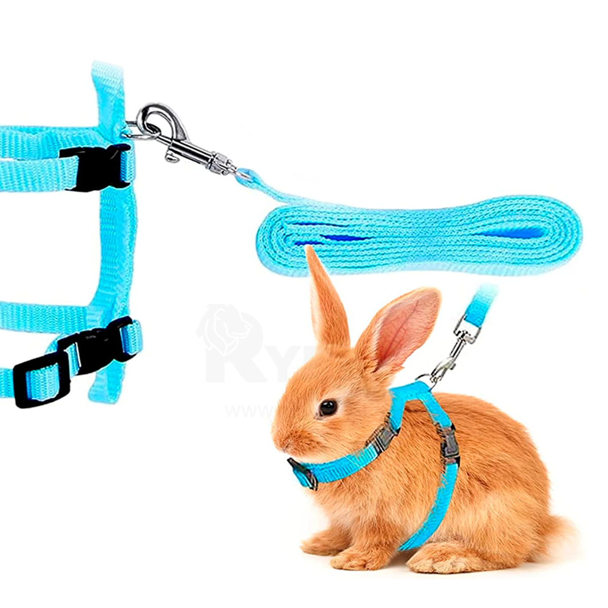 Arnes de Conejo Ajustable Celeste