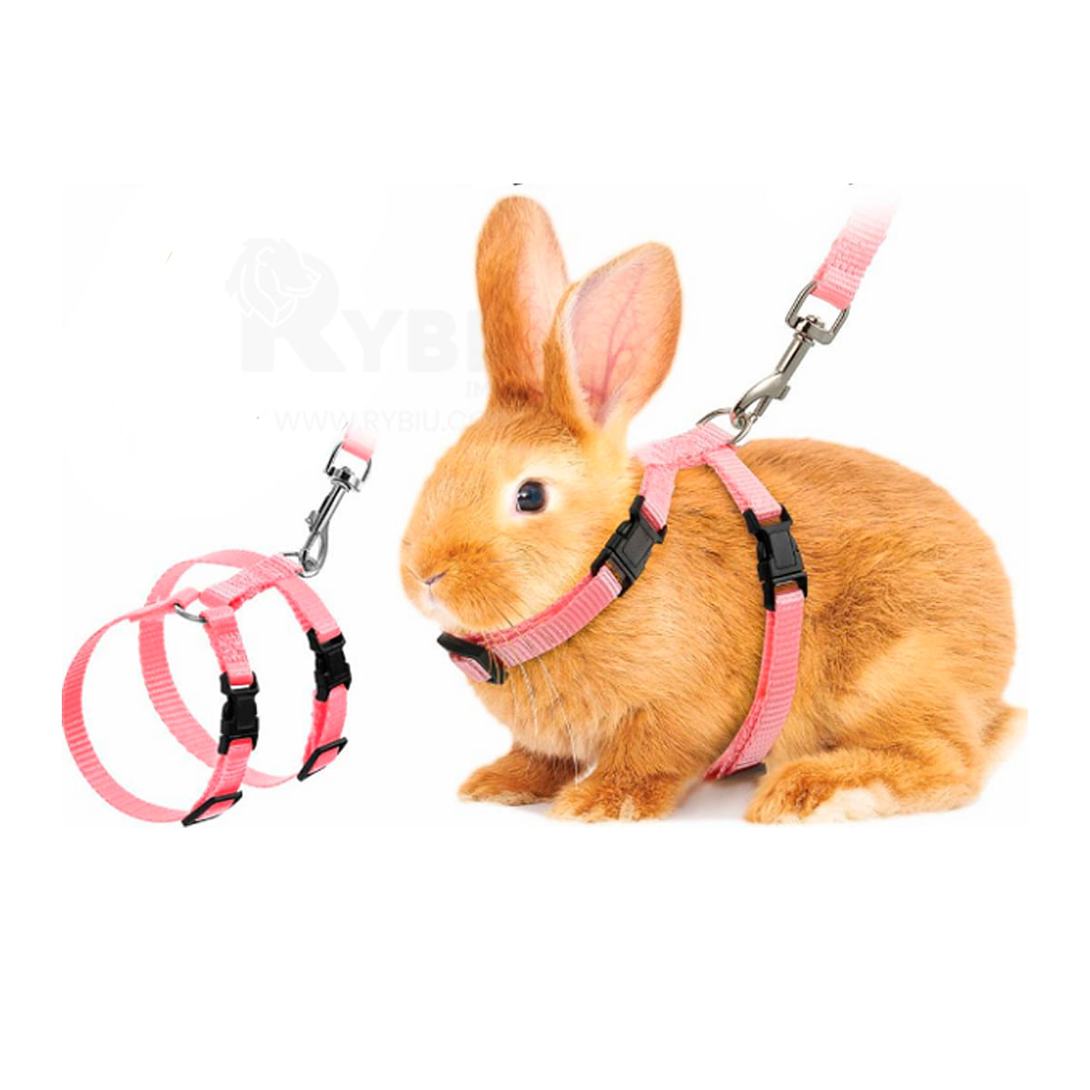 Correa Para Conejo Rosado