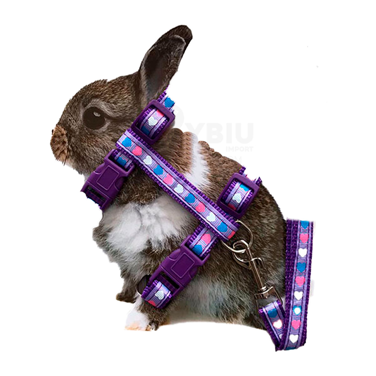 Correa de Cuello Para Conejo Lila