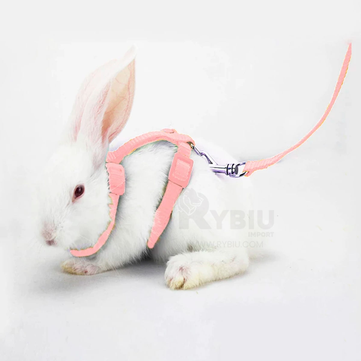 Pack 2 Correa Ajustable Para Conejo