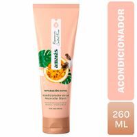 Acondicionador AMARÁS Reparación Divina Frasco 260ml