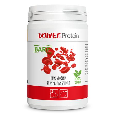 image-14fa4a6d840247659ca3612496d12bd2