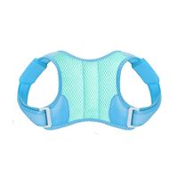 Corrector de Postura para Niños y Niñas Color Celeste Talla M