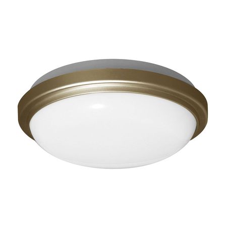 Plafón led 20W IP65 Champagne Luz fría