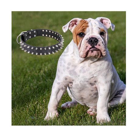 Talla L Collar con Puas para Mascotas