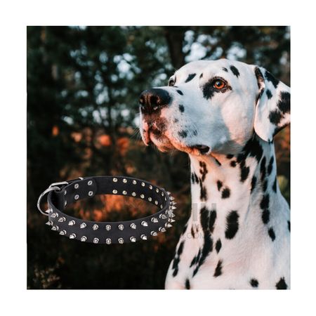 Puas Collar para Mascotas Talla XL