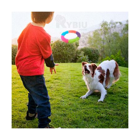 Anillo Circular para Perro