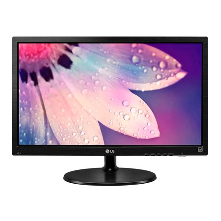 Monitor LG 19