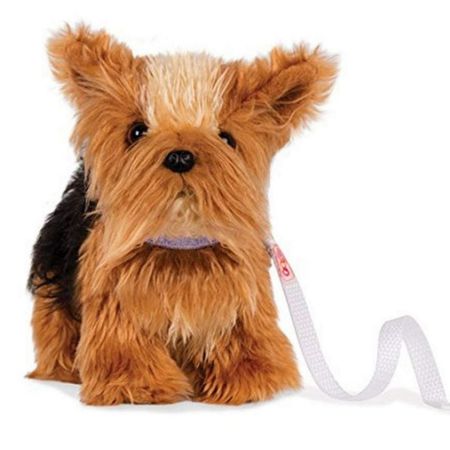 image-106869d710d7469287f06211fa38ffbf