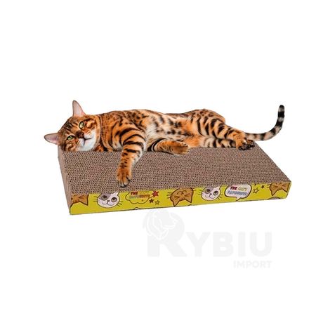 image-1bb0ac161aad4f4fb6373695818df688