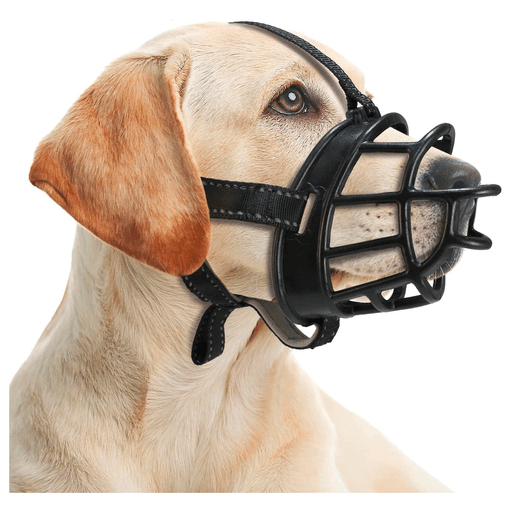 Hogar Tamaño Mediano para Perro para Uso Exterior I Oechsle - Oechsle