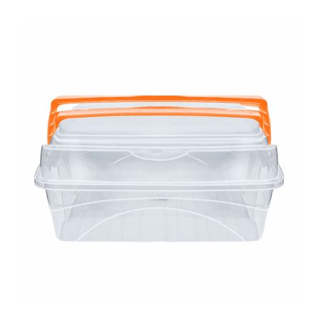 Caja organizadora Utilisima Domo 17lt