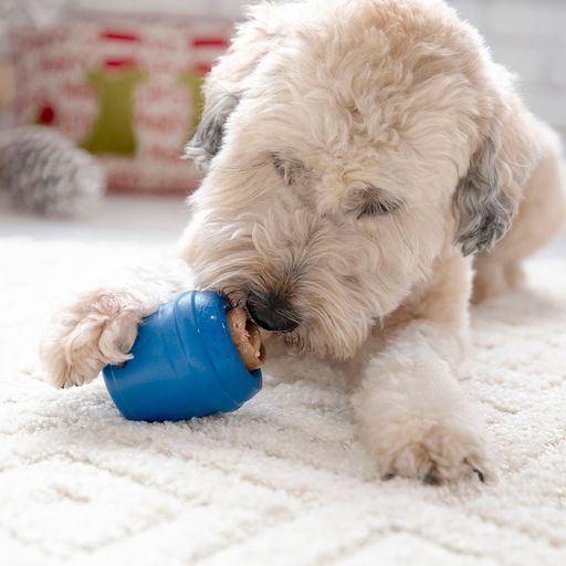 JW RoboBone Electronic Dog Treat Dispenser