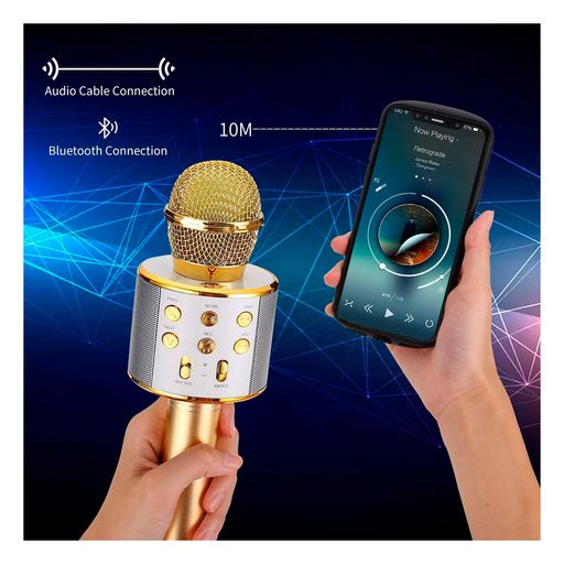 Altavoz con altavoz de micrófono, altavoz de karaoke para el hogar KTV con  micrófono con dos amplificadores de micrófono (dorado)