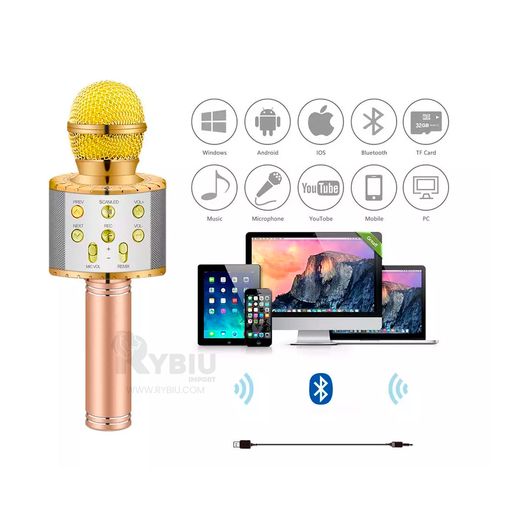  Altavoz con altavoz de micrófono, altavoz de karaoke para el  hogar KTV con micrófono con dos amplificadores de micrófono (dorado) :  Instrumentos Musicales