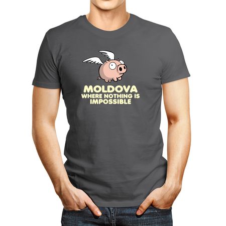 Polo de Hombre Idakoos Moldova Where Nothing Is Impossible Plateado Xl