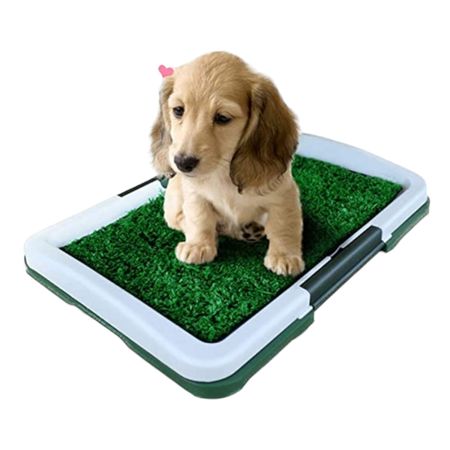 Baño Entrenador Para Mascotas Perros Con Cesped Lavable