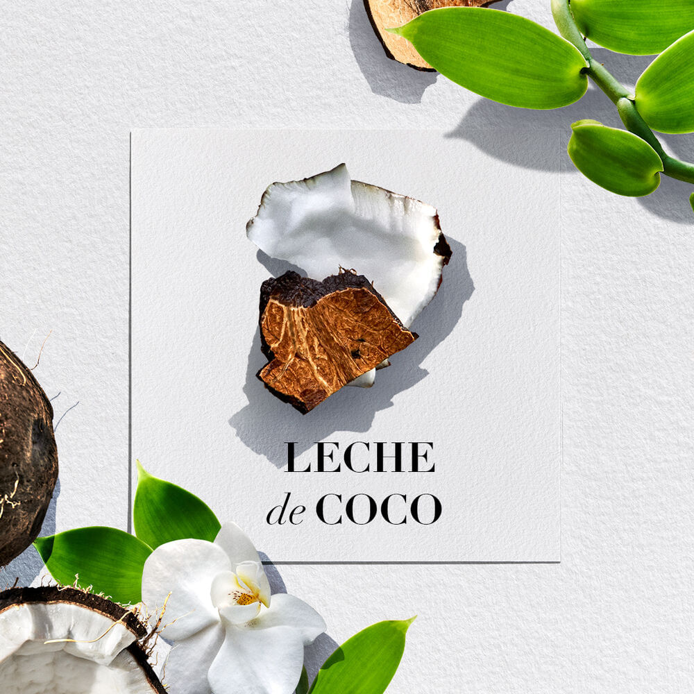 Pack HERBAL ESSENCES Shampoo Leche de Coco Frasco 400ml