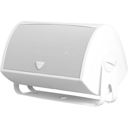 Definitive Technology AW6500 Altavoz exterior para todo tipo de clima (blanco, individual)