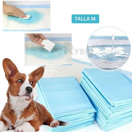 Pañal de Piso para Perros Talla M Celeste