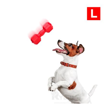 Pesas Lion Practico para Perro Rojo L