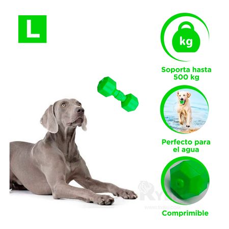 Pesas para Perro Marca Lion Verde L