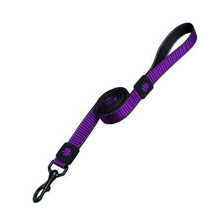 Correa Para Perro Doco Martini Bean 4Ft M Morado 2.5 X 120Cm