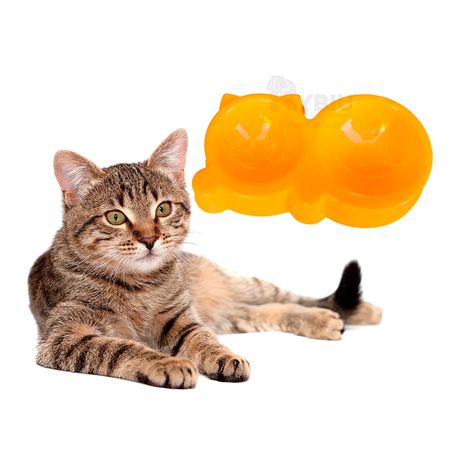 Plato de Comida para Gatos con Dos Compartimentos