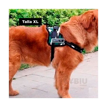 Pechera Arnes de Modelo Ejercito Claro XL