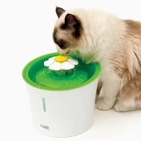 Bebedero para Gatos Cat It Fuente de Agua Flower Fountain 3 L